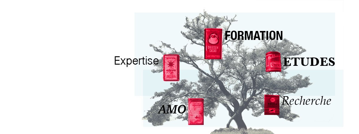 Création d’un arbre à produits – OPCRE et BGE